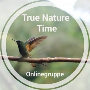 TRue_Nature_Time_Online